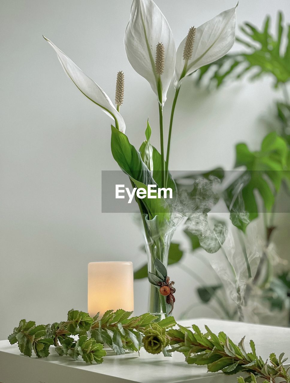 plant, green, floristry, flower, leaf, plant part, nature, food, food and drink, floral design, indoors, no people, freshness, branch, growth, herb, vegetable, studio shot, flowering plant, beauty in nature, still life, healthy eating, ikebana, wellbeing, close-up