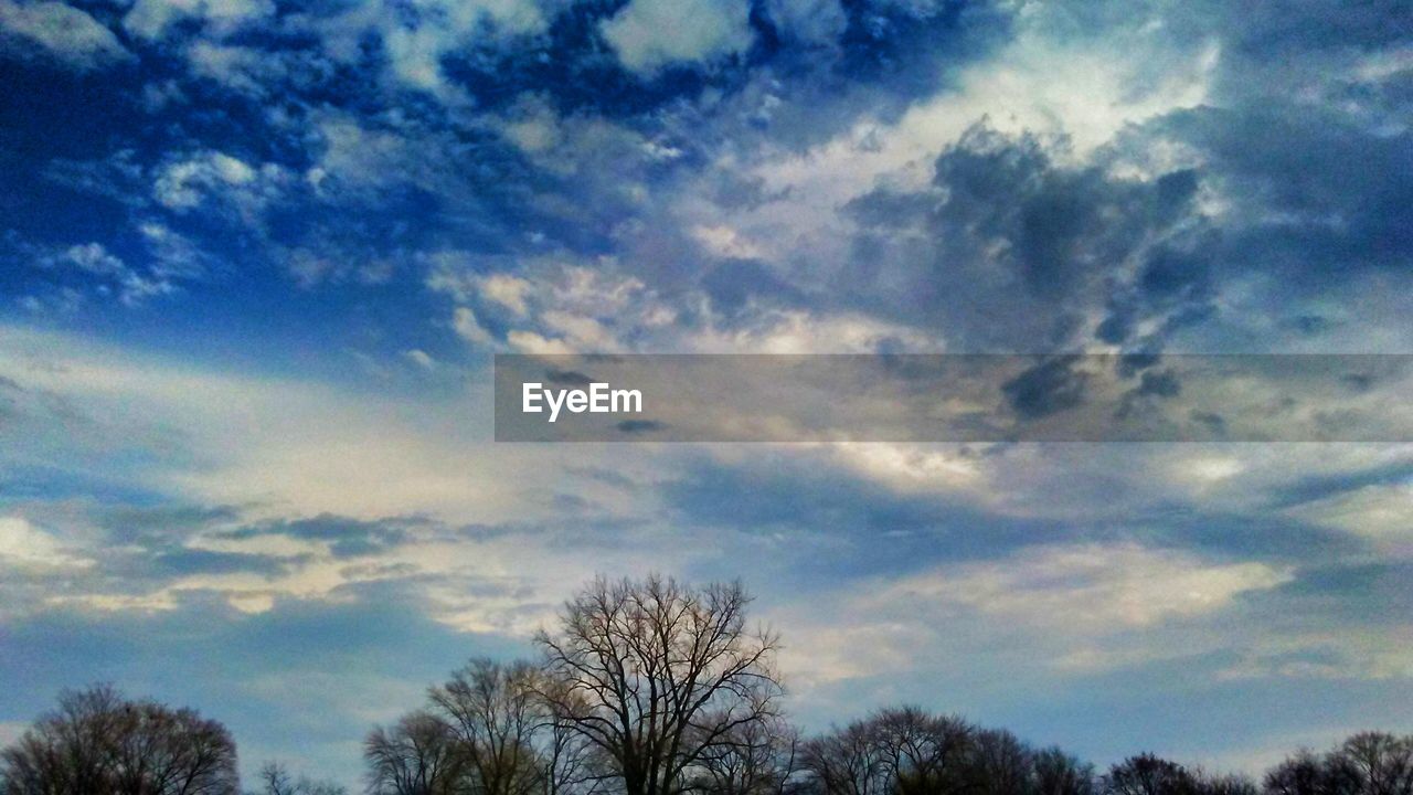 SILHOUETTE OF TREES AGAINST CLOUDY SKY