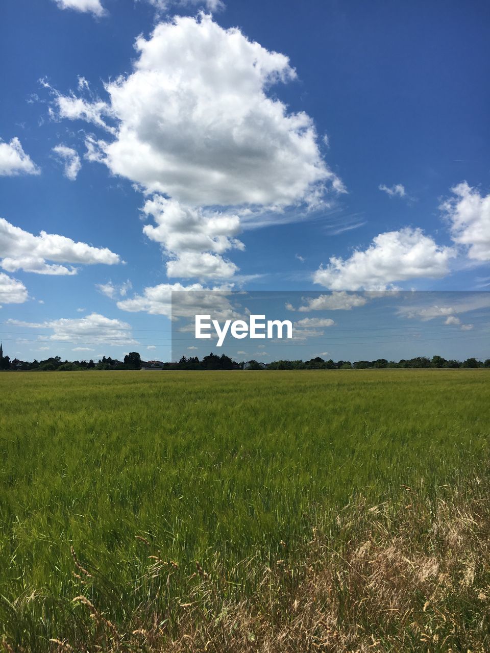 Scenic view of field against blue sky