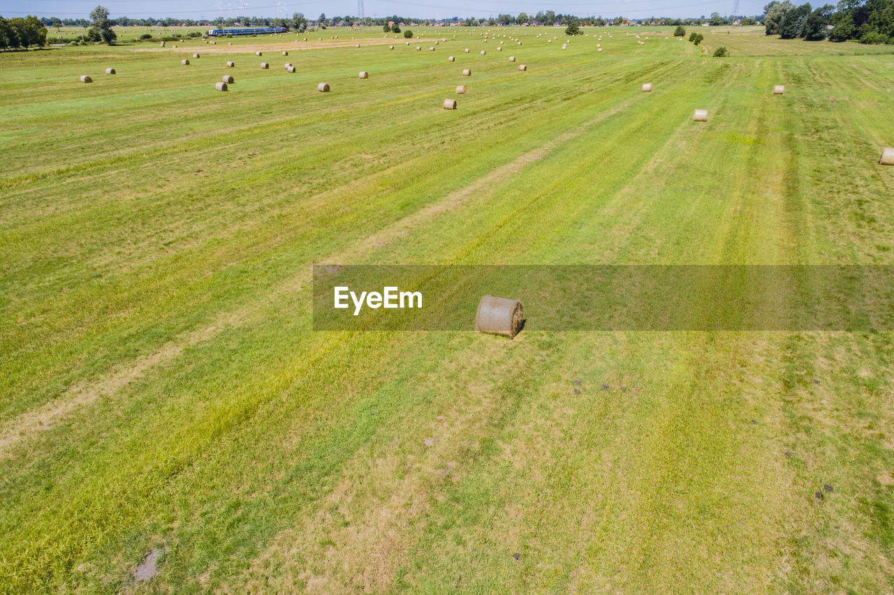 High angle view of hay bales on field