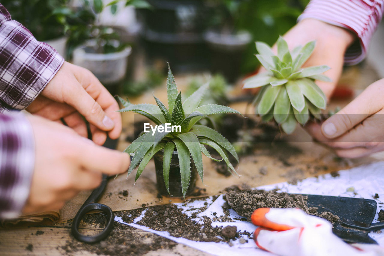 Midsection of people gardening