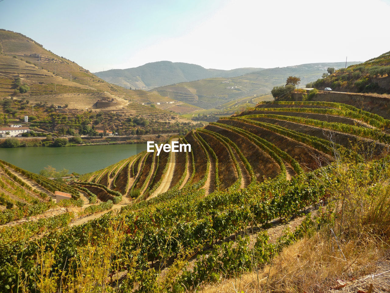 Douro valey in portugal with winery and vineyards landscape. travel and tourism