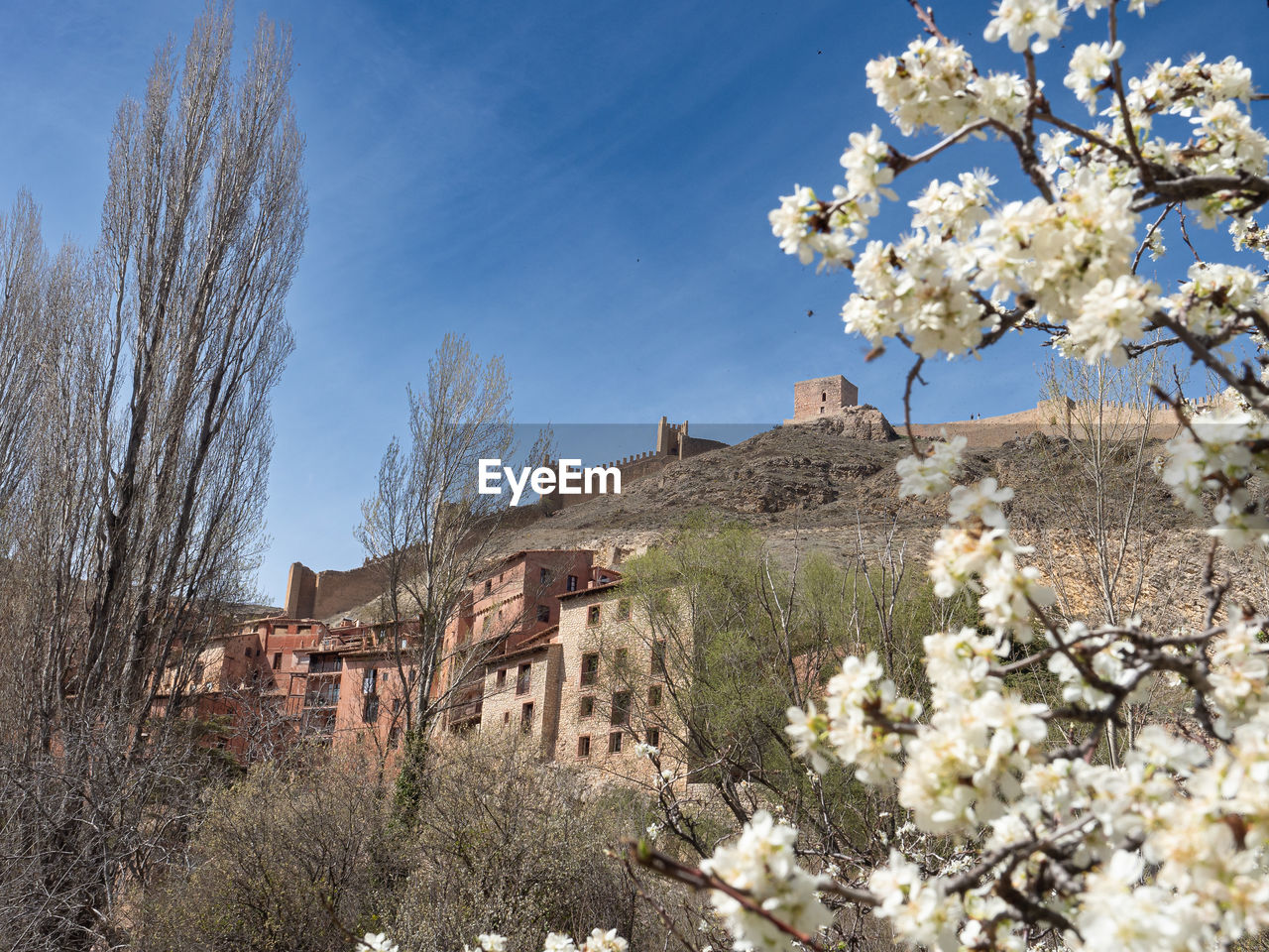 plant, flower, tree, flowering plant, blossom, cherry blossom, nature, springtime, architecture, sky, beauty in nature, built structure, growth, spring, building exterior, building, no people, branch, freshness, fragility, landscape, scenics - nature, blue, day, house, travel destinations, clear sky, outdoors, land, almond tree, cherry tree, fruit tree, travel, mountain, white, residential district, low angle view, rural scene, history, sunlight