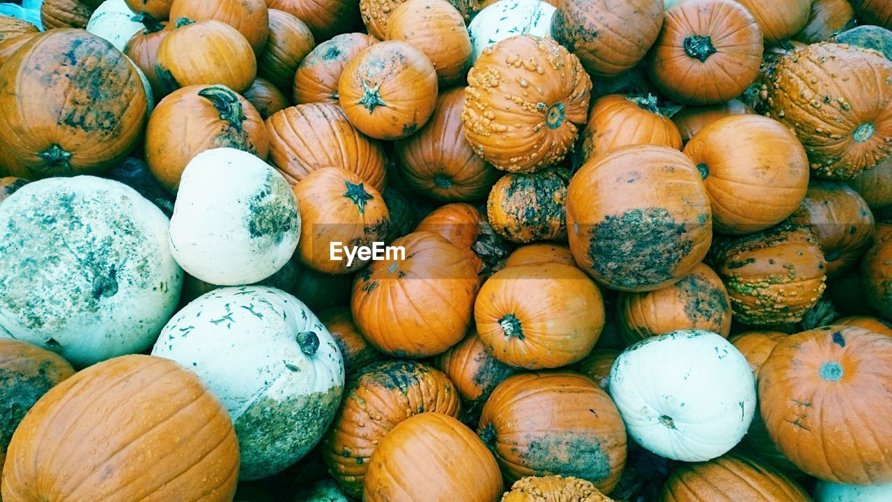 Full frame shot of pumpkins in market for sale