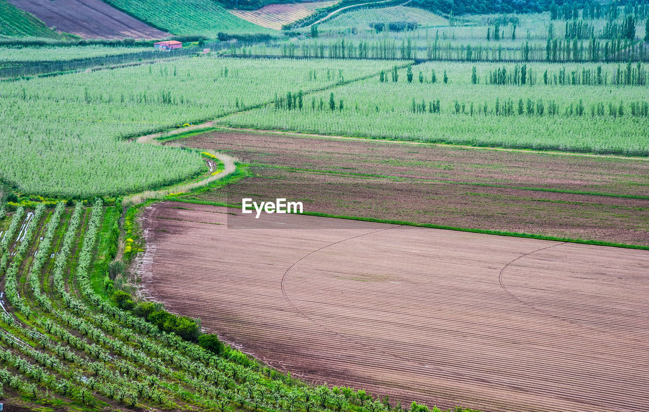 SCENIC VIEW OF AGRICULTURAL LAND