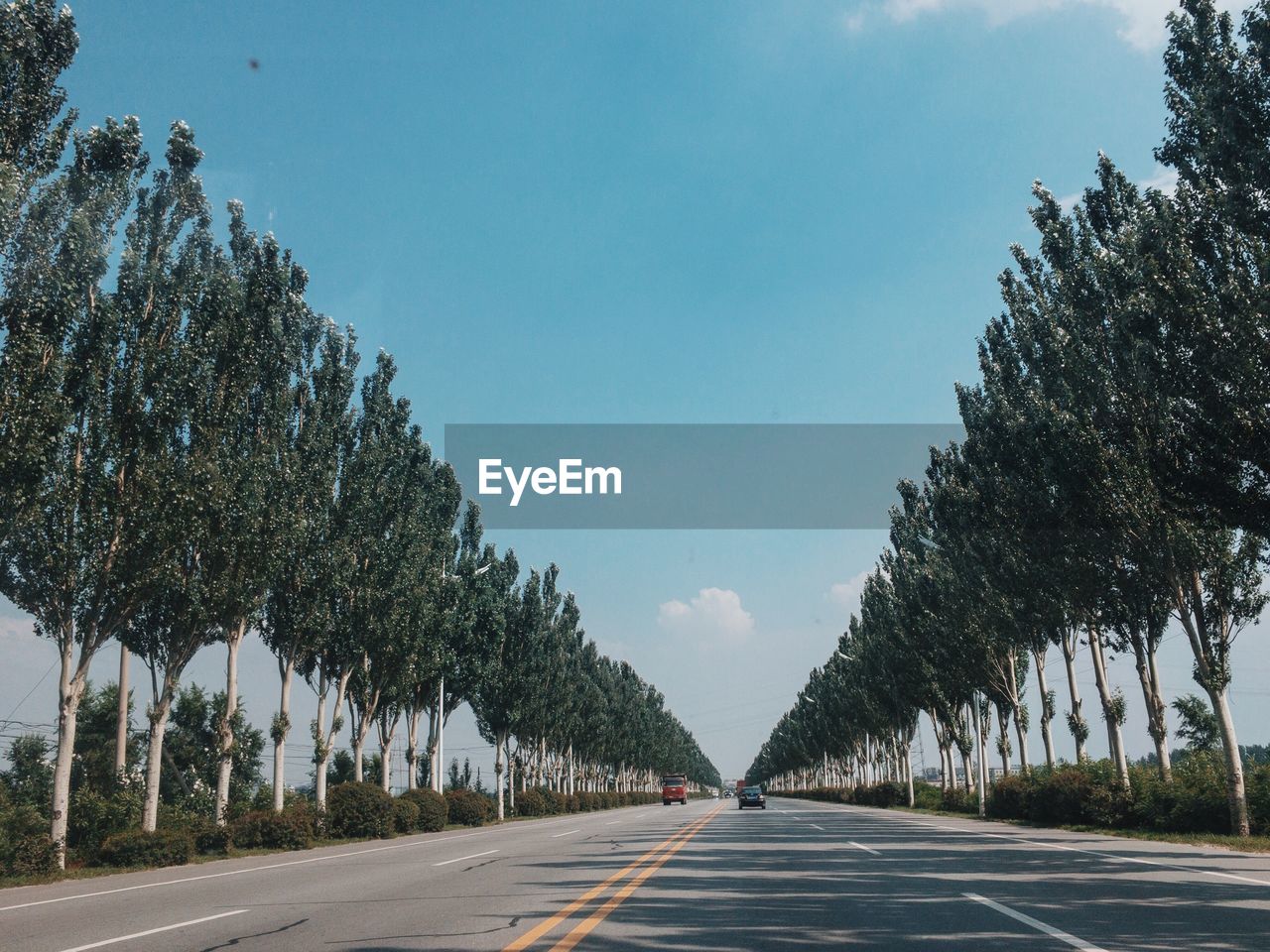 Road amidst trees against clear sky