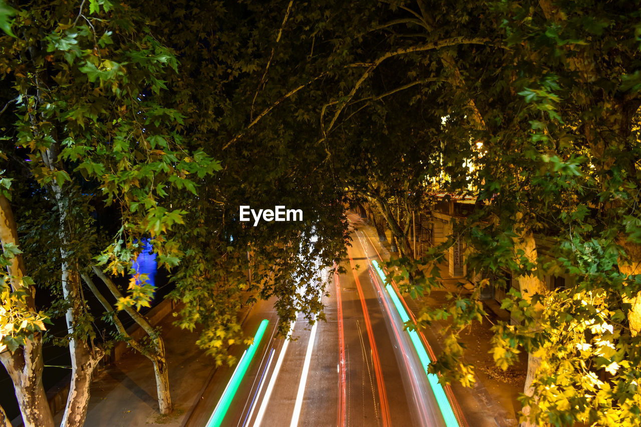 Light trails on road amidst trees in city at night