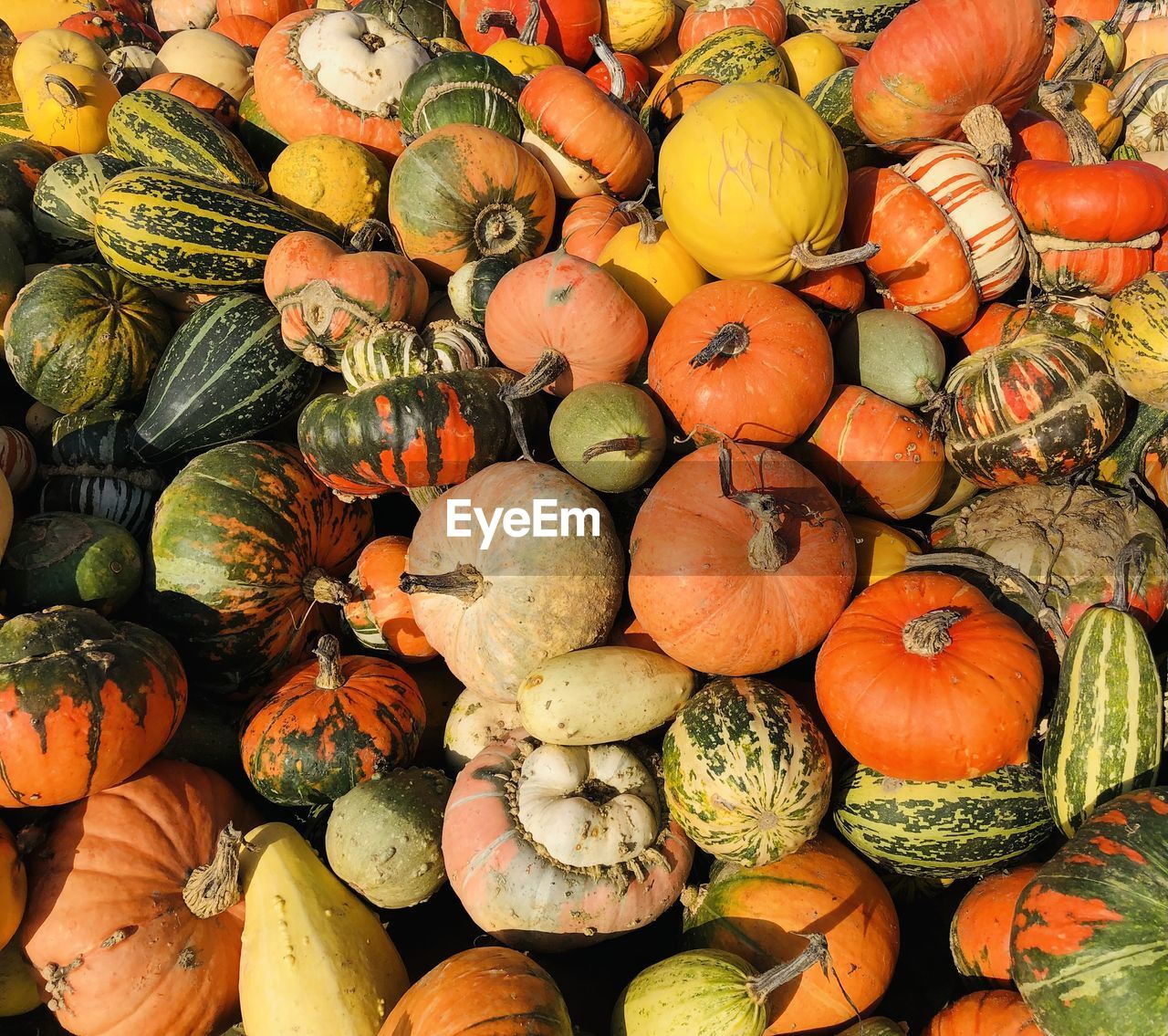 Full frame shot of pumpkins