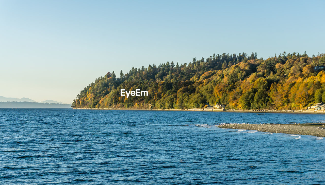 Scenic view of sea against clear sky