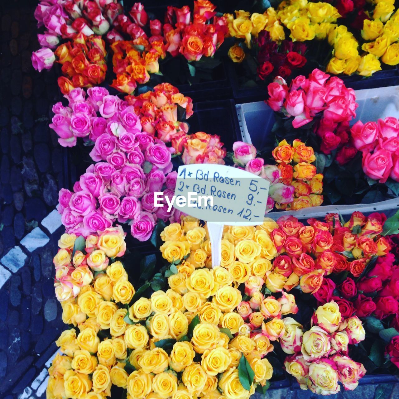 VARIOUS FLOWERS FOR SALE IN STORE