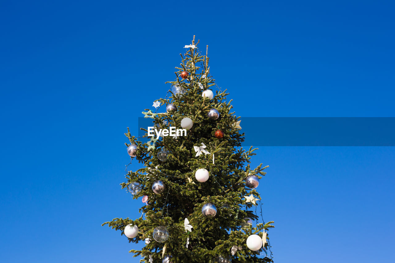 LOW ANGLE VIEW OF CHRISTMAS TREE AGAINST BLUE SKY