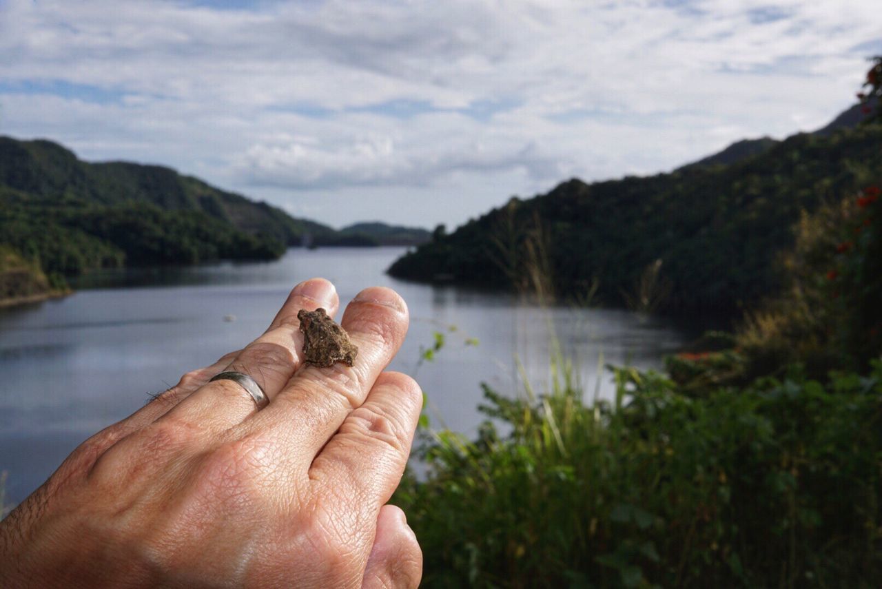Cropped hand with tiny frog against sky