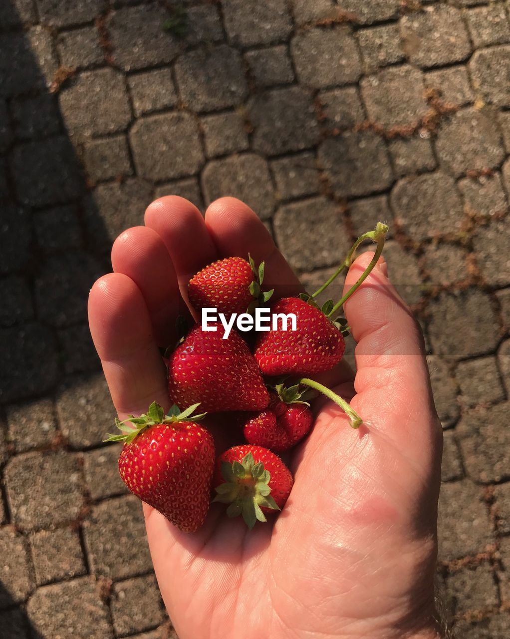 PERSON HOLDING STRAWBERRIES