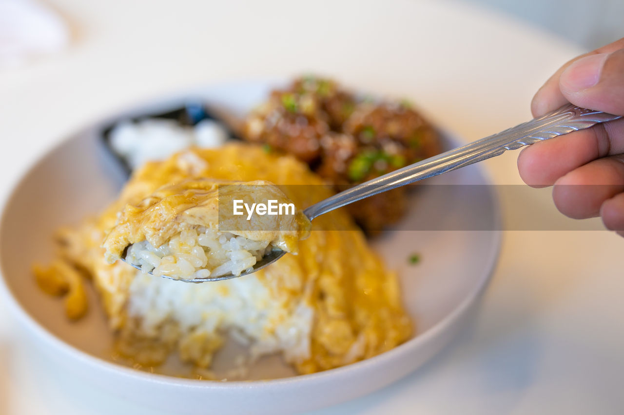 close-up of food in plate