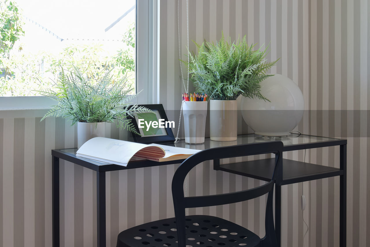 POTTED PLANTS ON TABLE BY WINDOW AT HOME