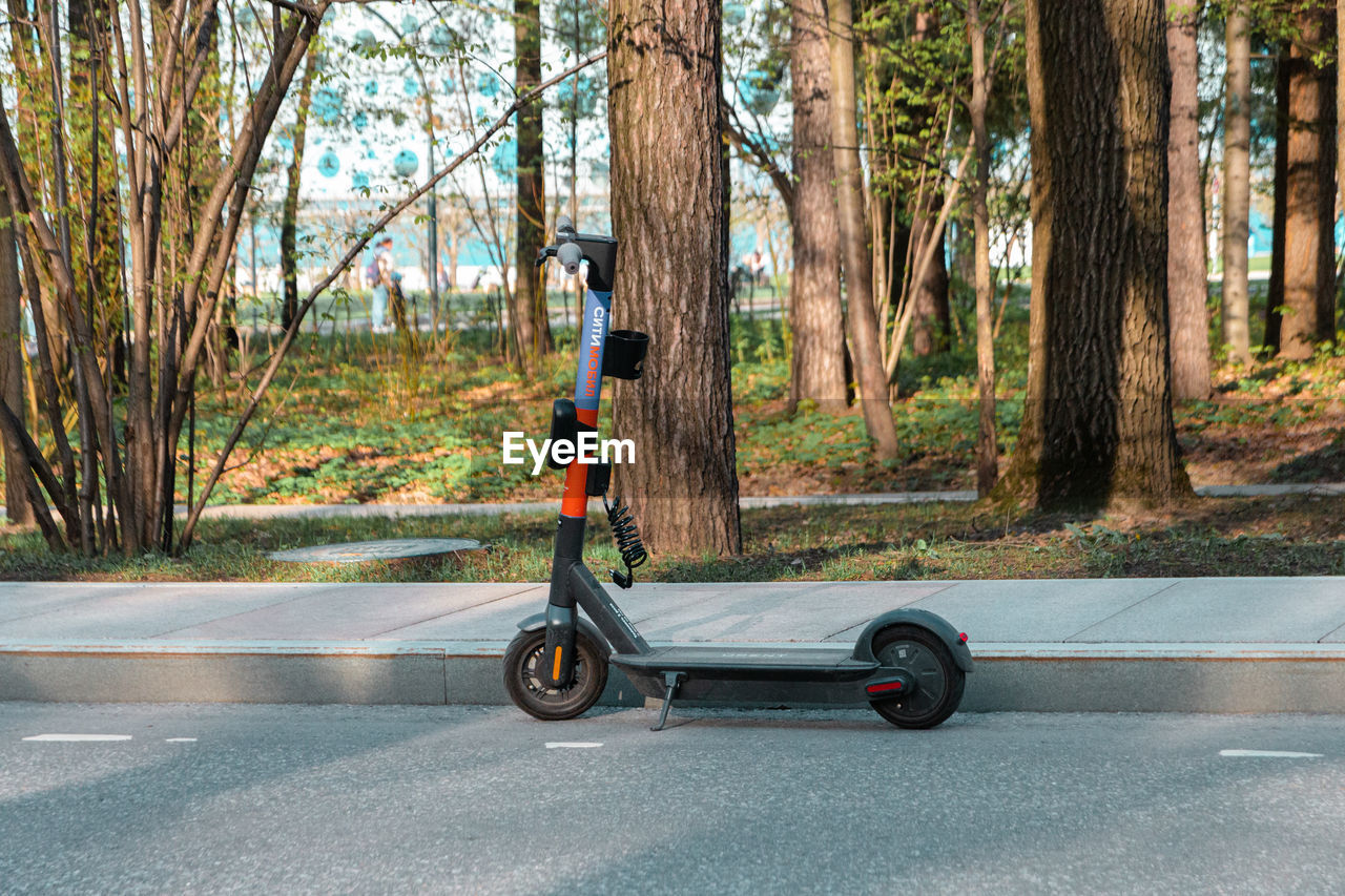 BICYCLE PARKED ON TREE TRUNK