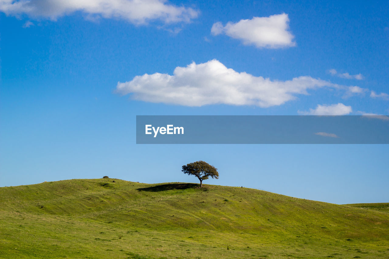 Scenic view of green landscape against blue sky