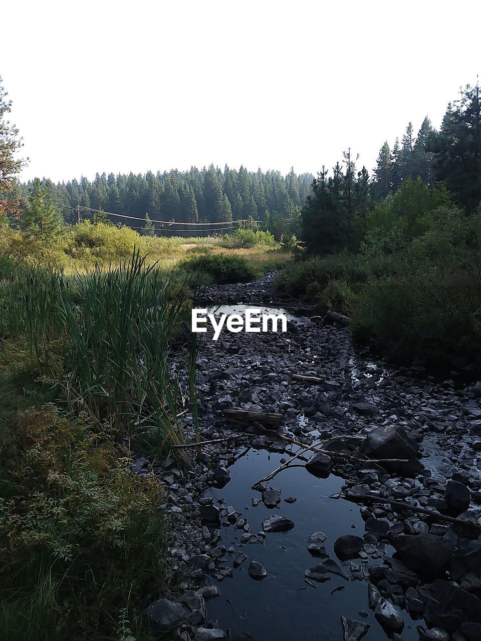 SCENIC VIEW OF RIVER AGAINST SKY