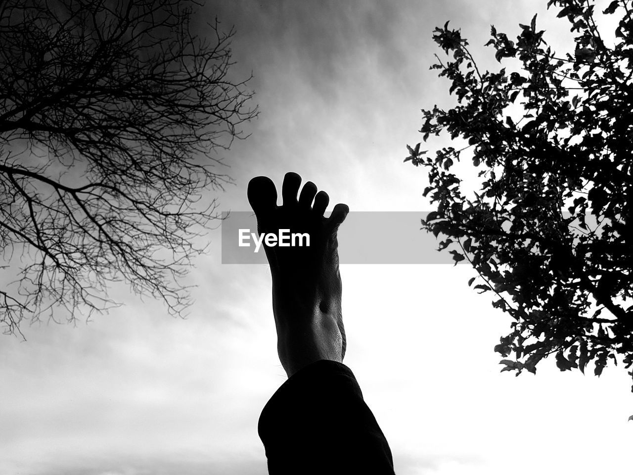 SILHOUETTE PERSON BY TREE AGAINST SKY