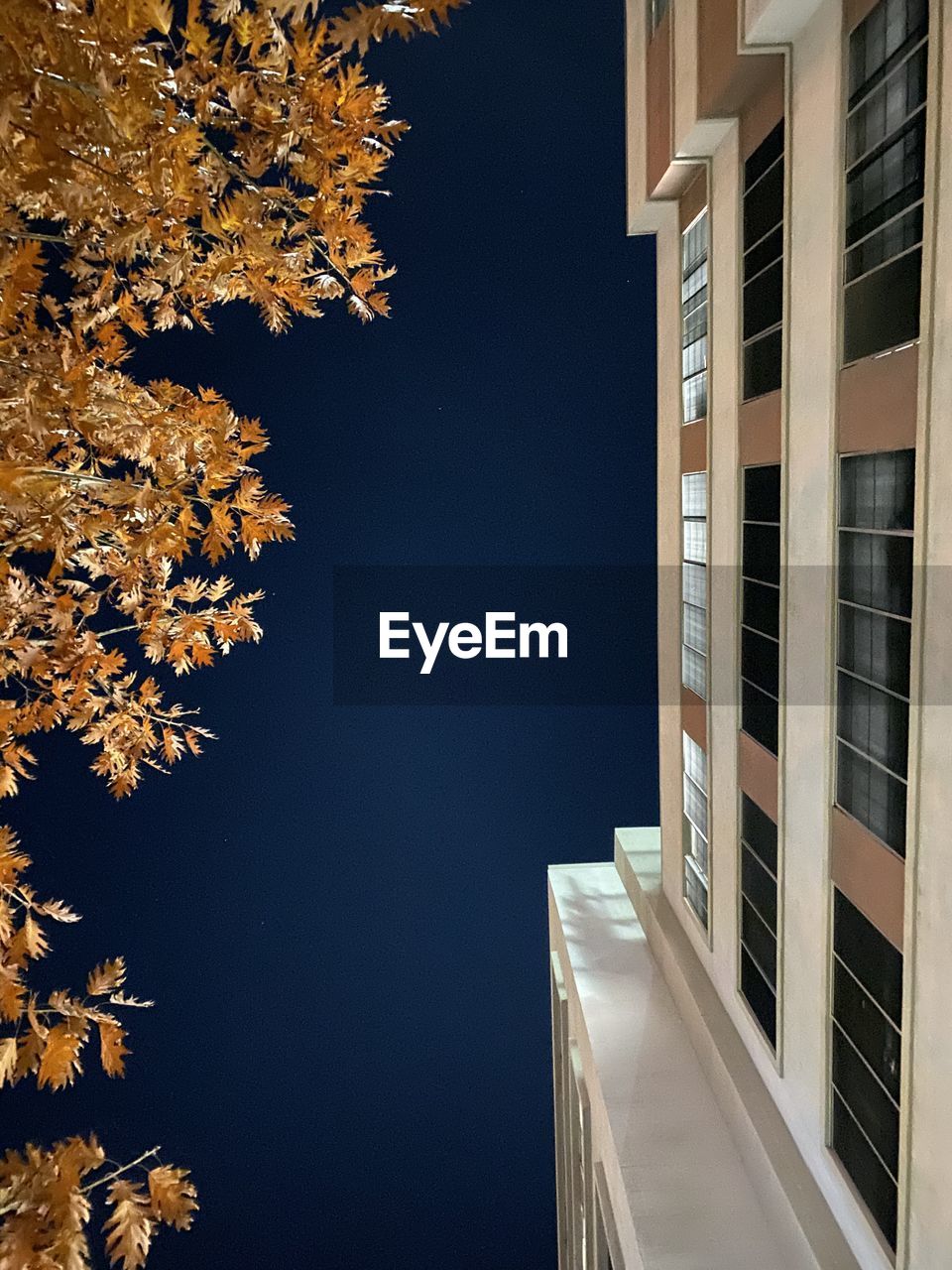 Low angle view of buildings against sky at night