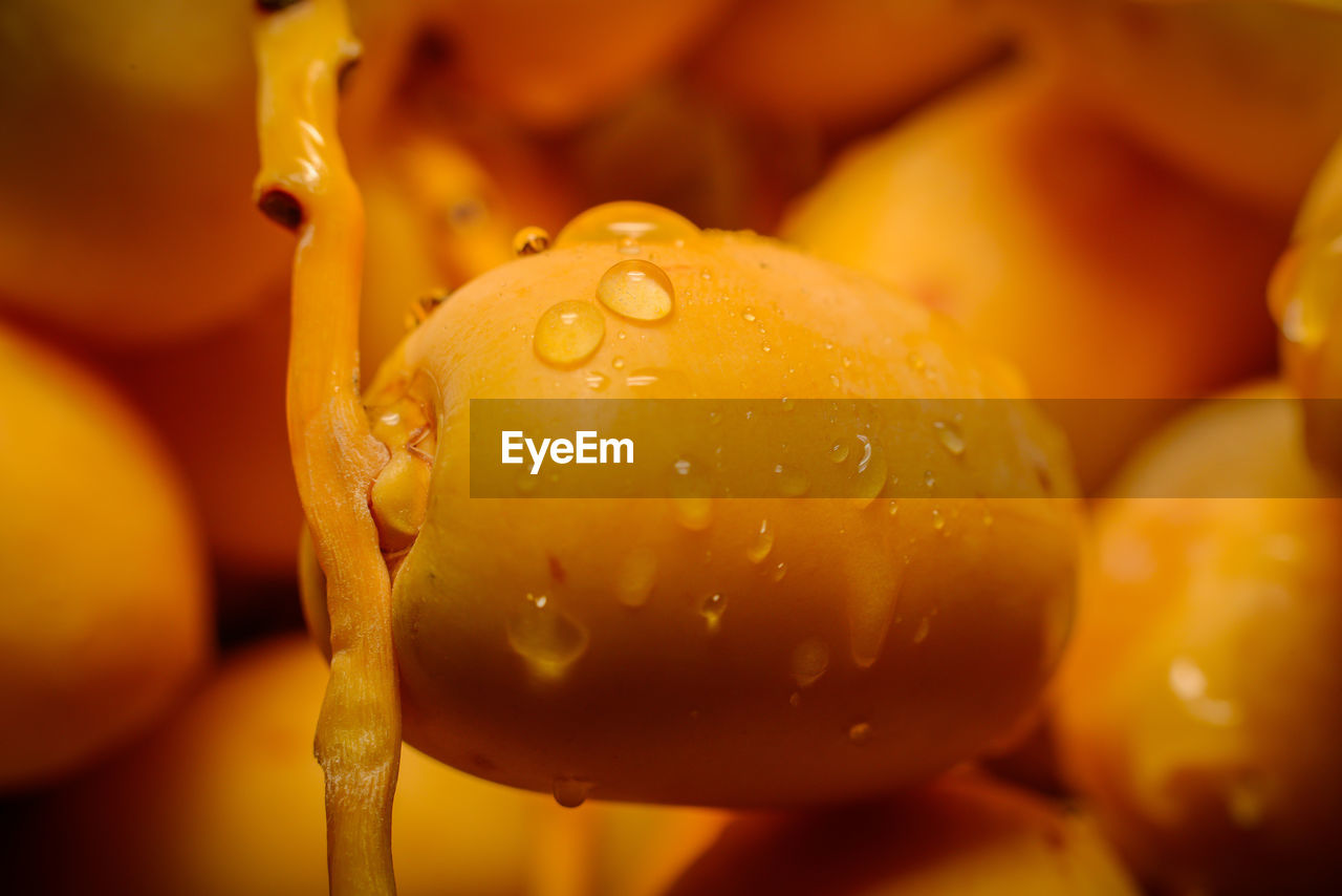 CLOSE-UP OF WET FRUIT