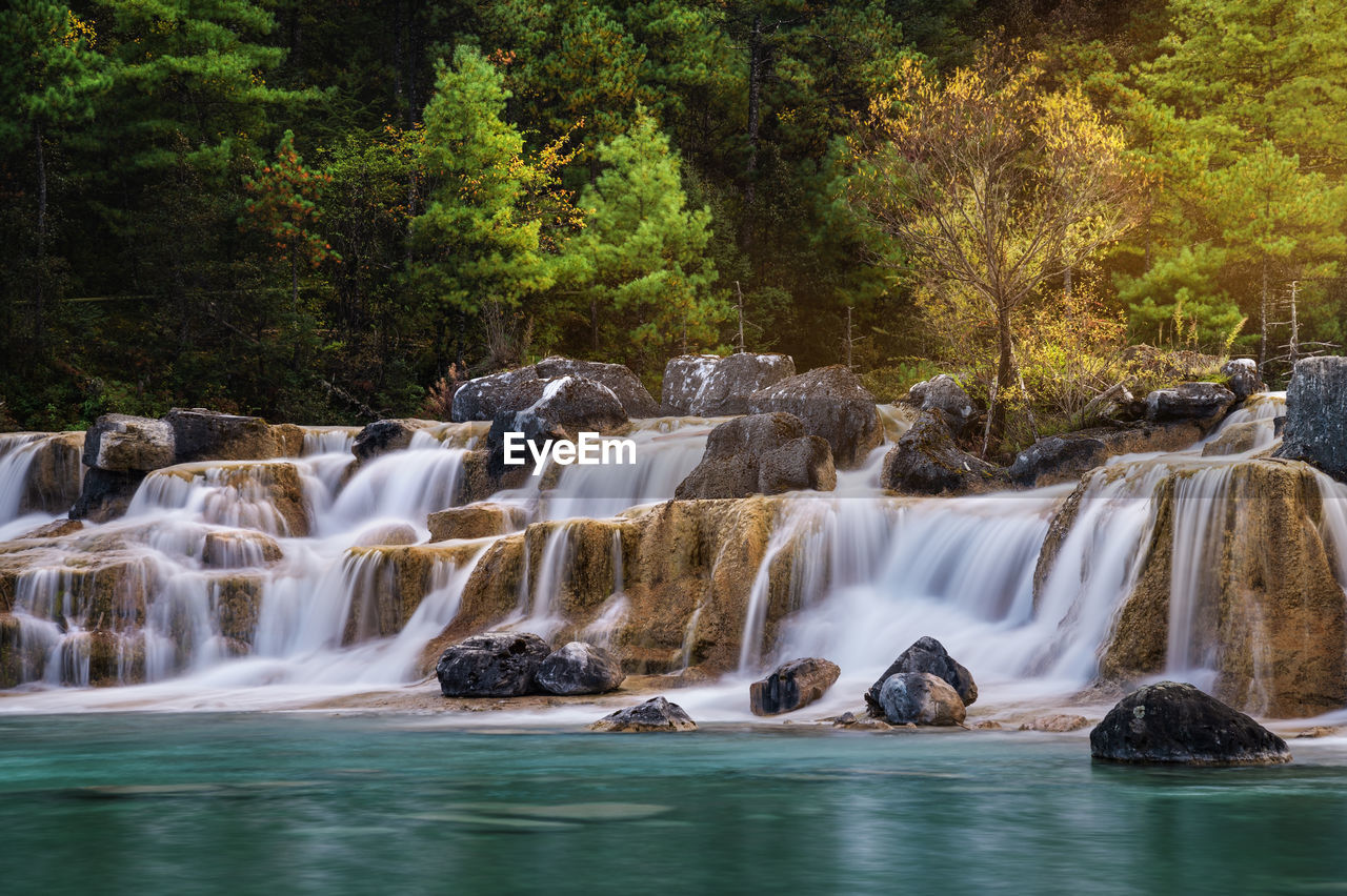 WATERFALL IN FOREST