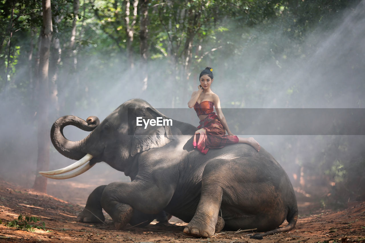 Portrait of young woman sitting on elephant in forest