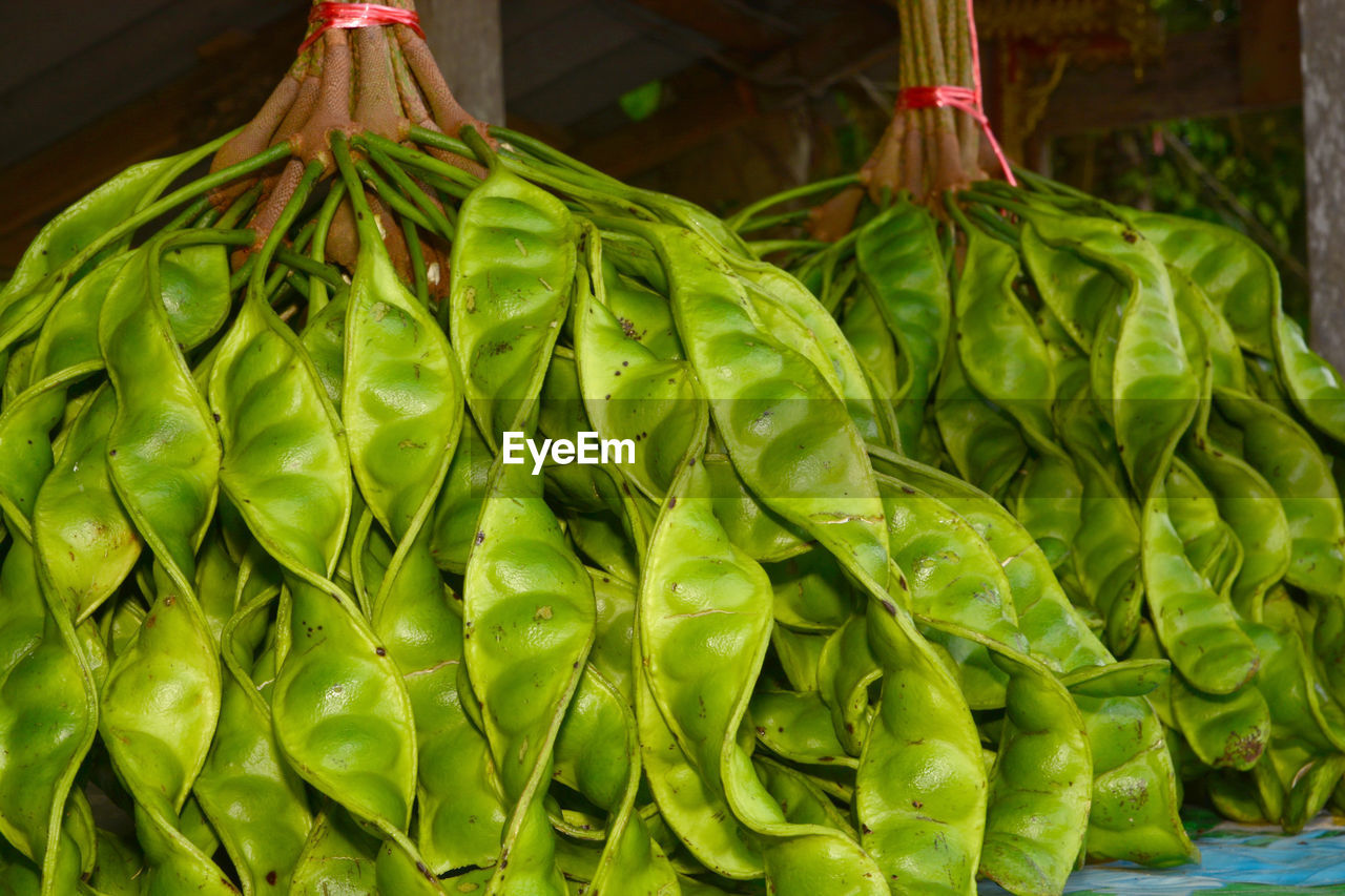 CLOSE-UP OF FRESH GREEN LEAVES IN MARKET
