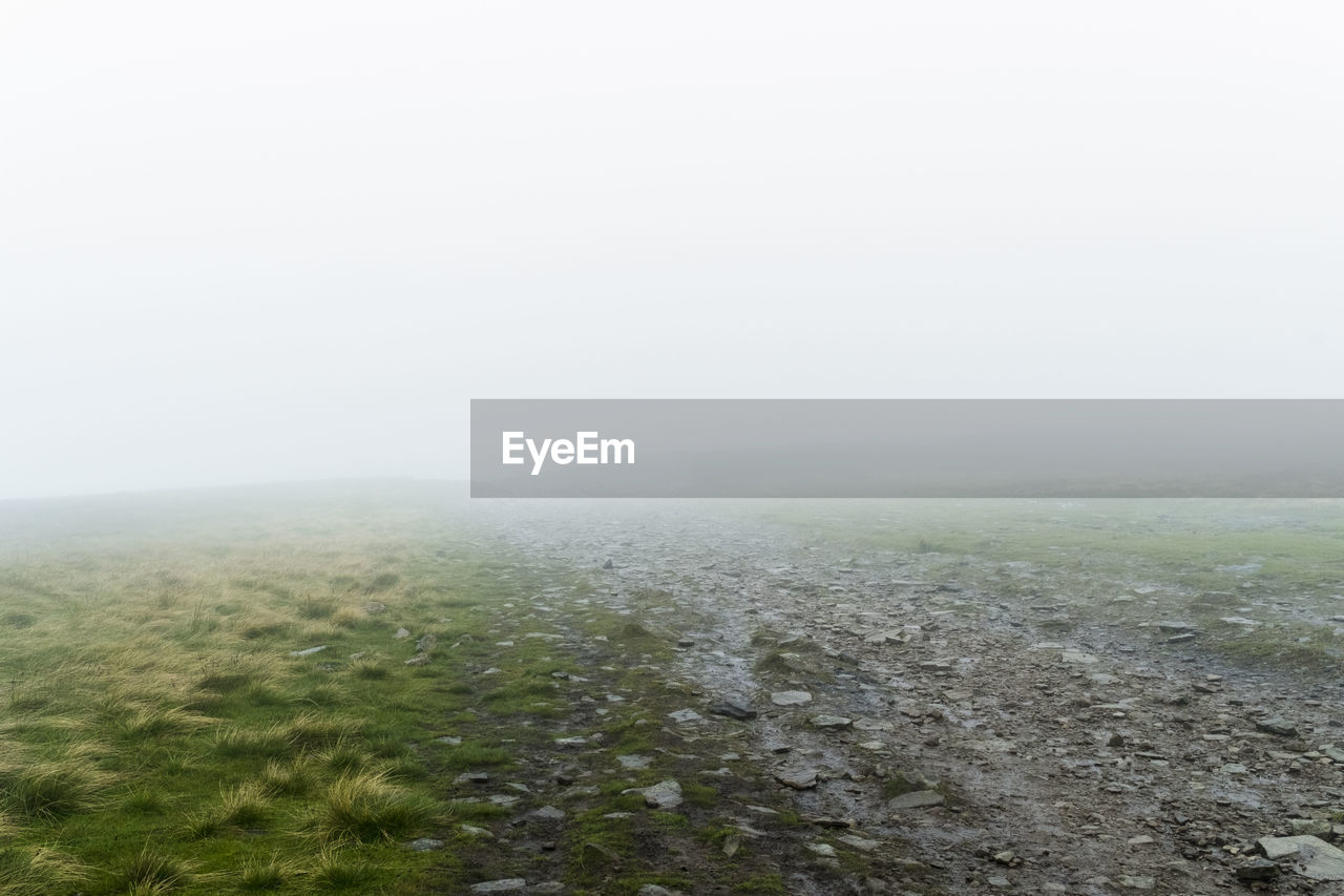 Scenic view of grassy field during foggy weather