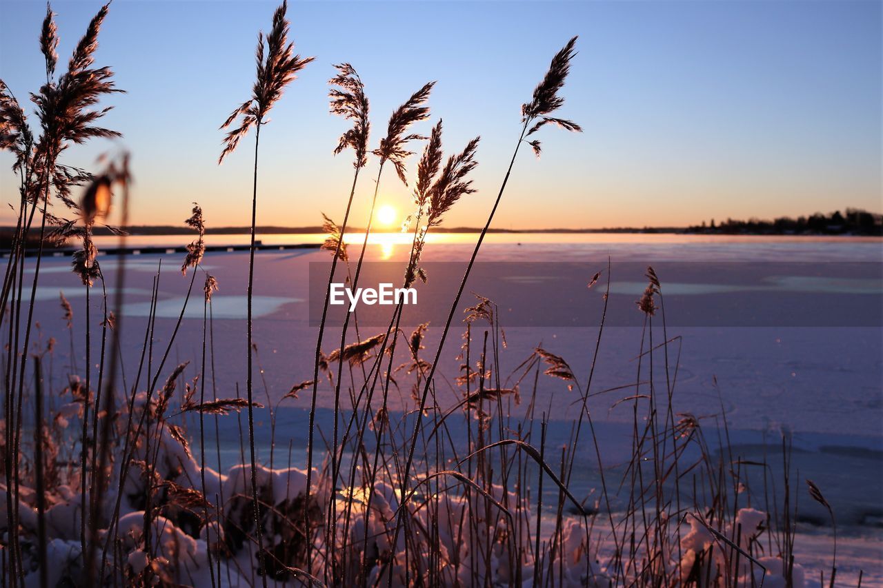 Scenic view of lake against sky during sunset