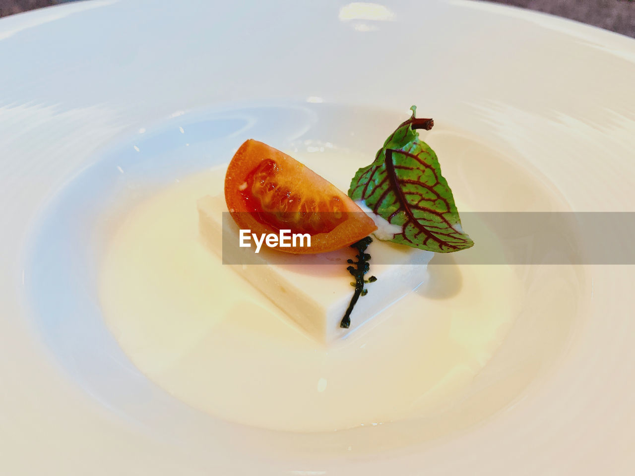 plate, food and drink, food, freshness, dish, no people, healthy eating, produce, indoors, close-up, nature, high angle view, wellbeing, garnish, meal, animal, seafood, table, serving size, still life