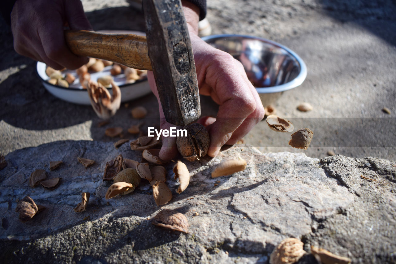 Cropped hands of person breaking walnuts on rock