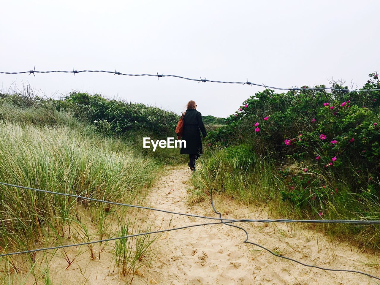 Rear view full length of woman walking at sandy beach