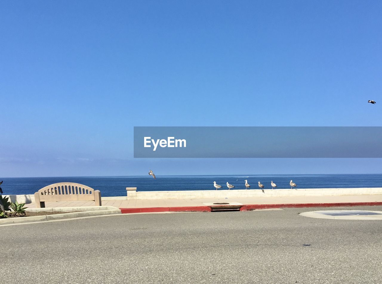 Scenic view of beach against clear blue sky