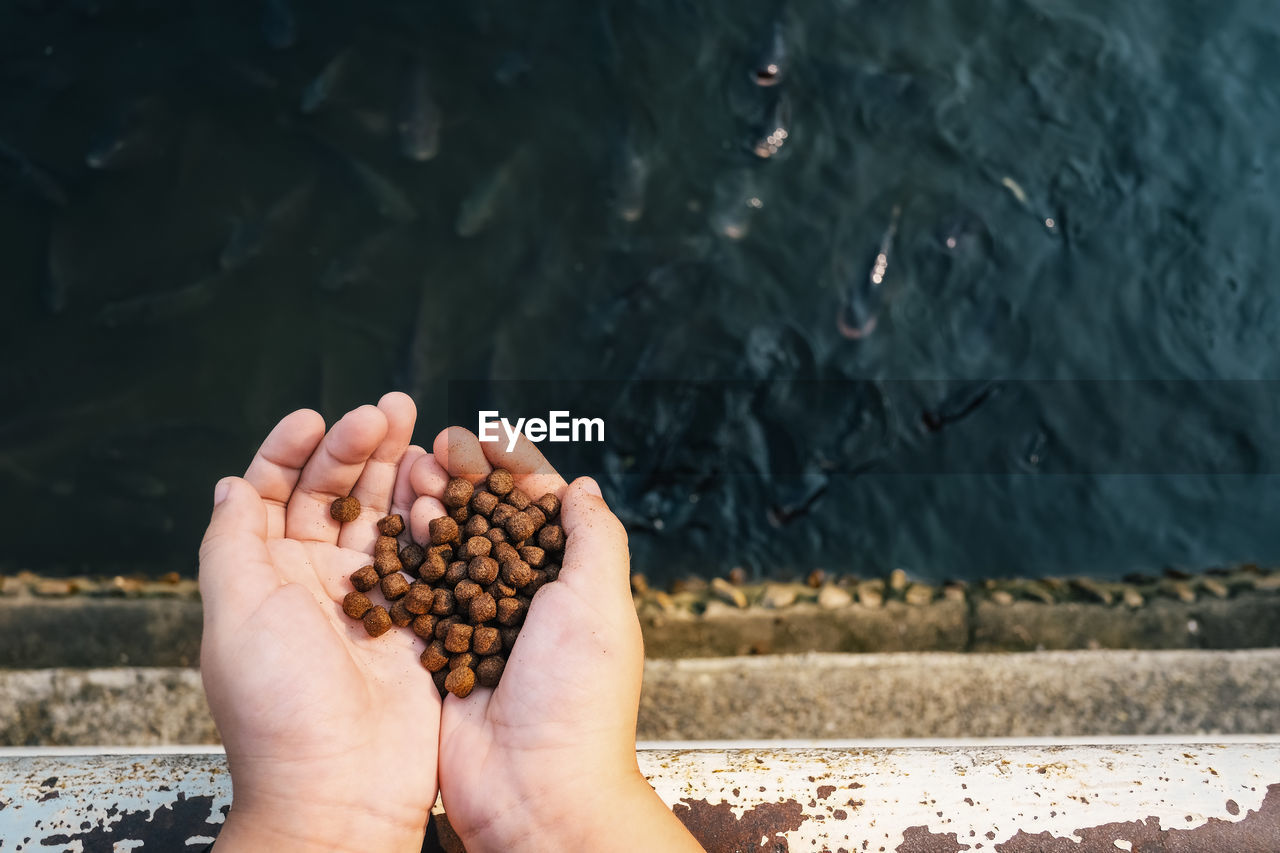 Cropped hands holding food over lake