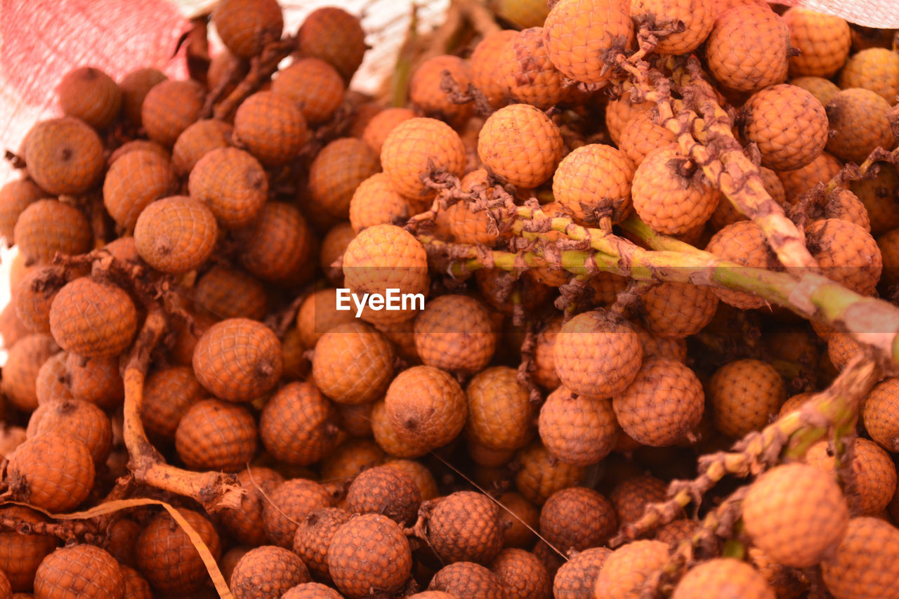 Rattan palm seed, rattan palm fruits has a yellow shell, soft focus.full frame shot of blueberries.