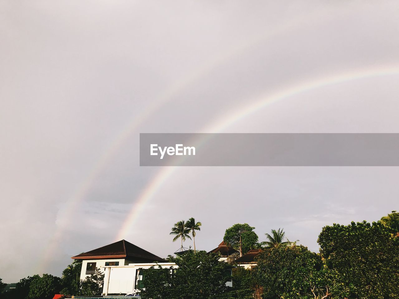 LOW ANGLE VIEW OF RAINBOW OVER TREES AND BUILDING