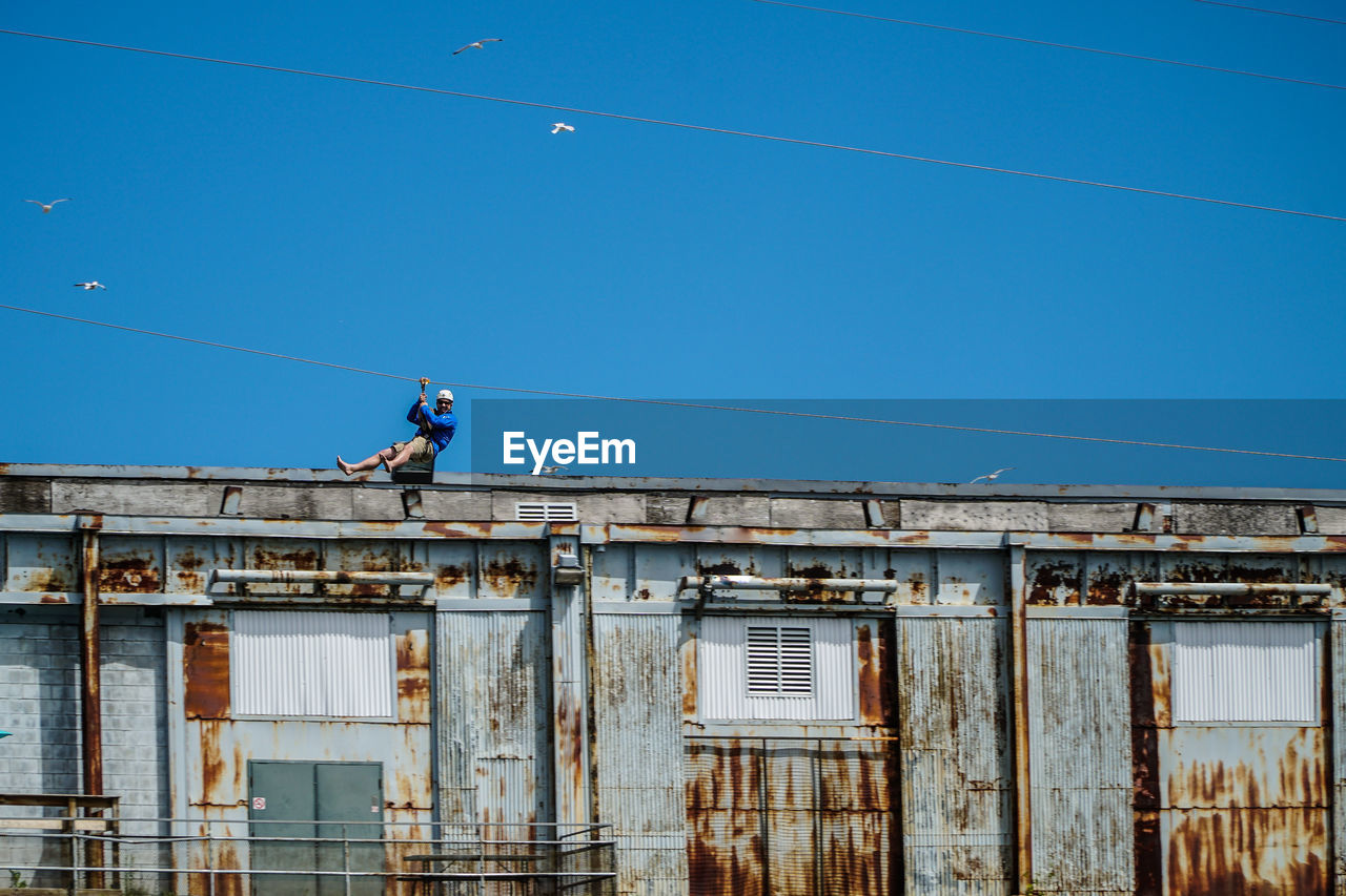 LOW ANGLE VIEW OF BIRDS PERCHING ON CABLES AGAINST BLUE SKY