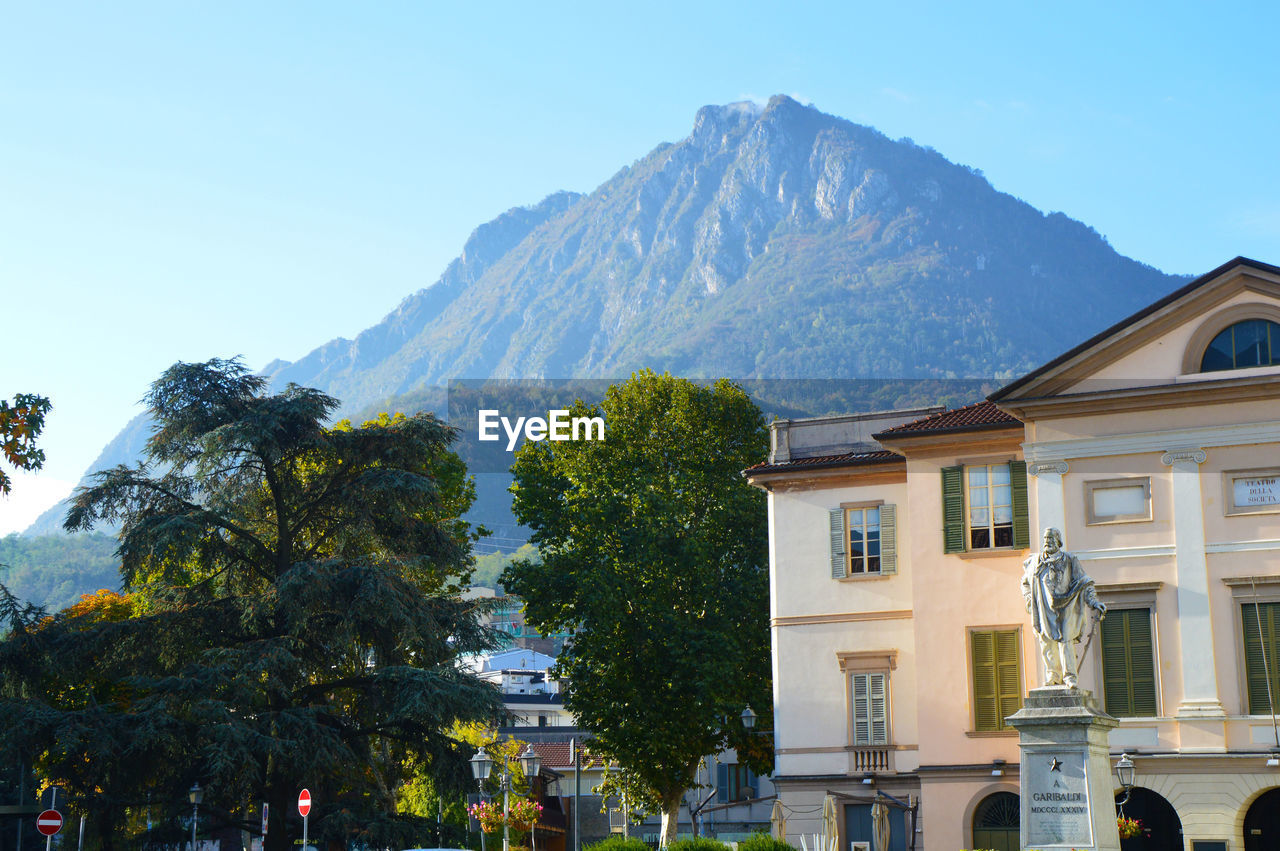 LOW ANGLE VIEW OF TREES AGAINST MOUNTAIN