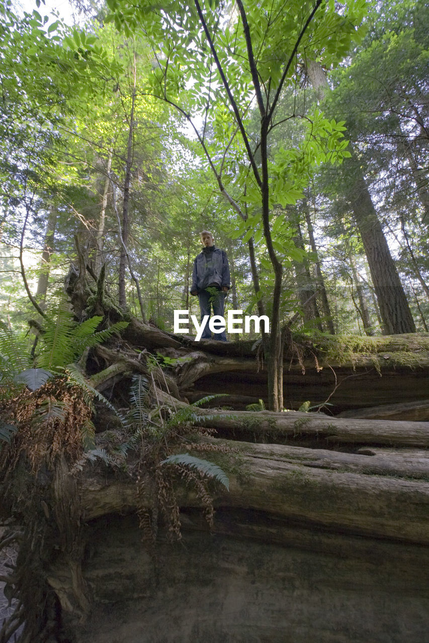 Low angle view of teenage boy standing of large fallen tree trunk at forest