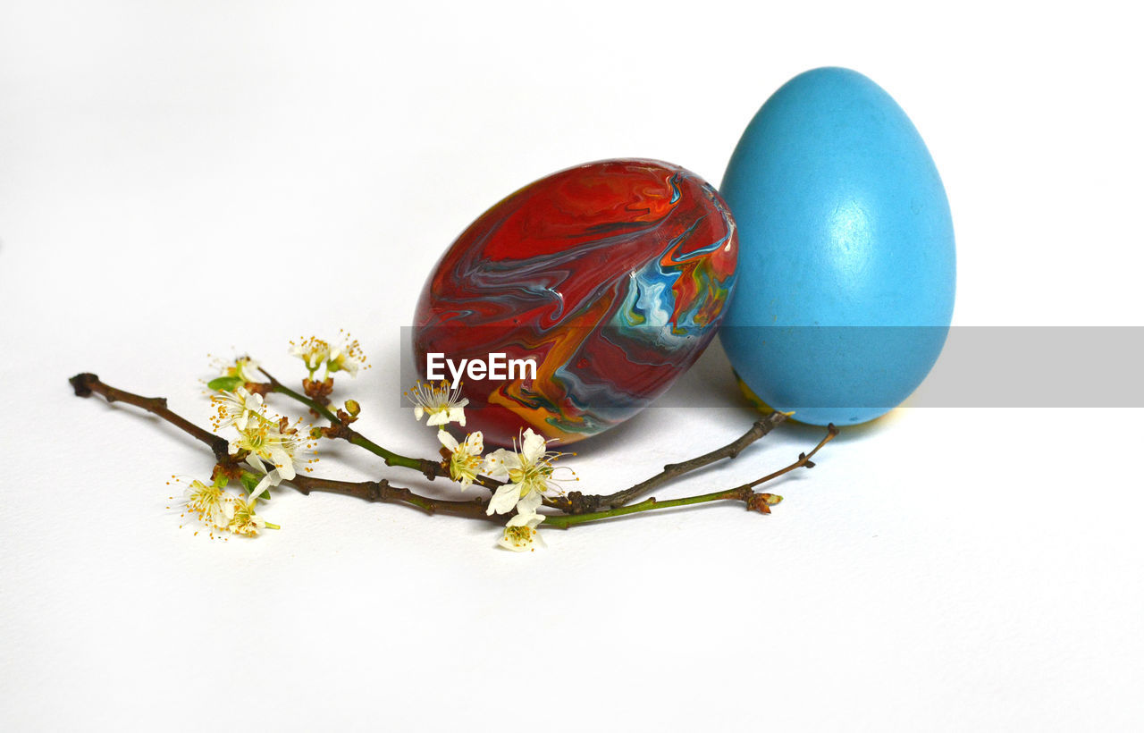 Close-up of easter eggs against white background