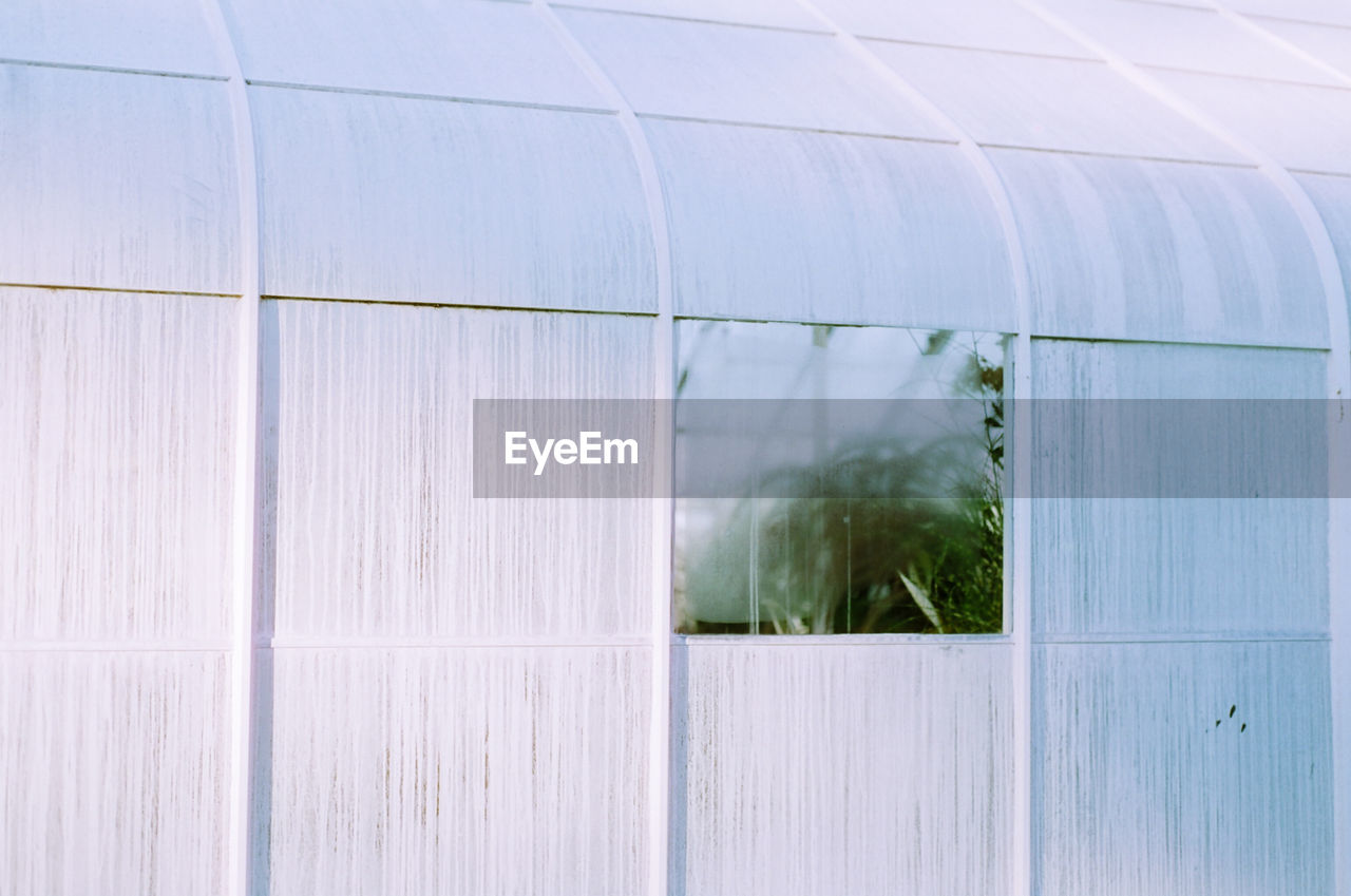 REFLECTION OF WINDOW IN GREENHOUSE