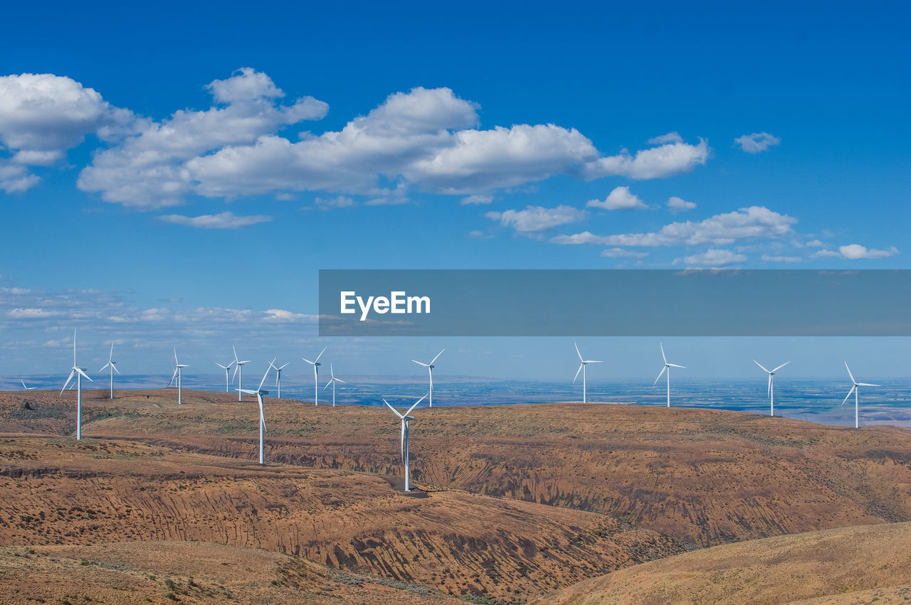 Scenic view of wind turbines in the desert against sky