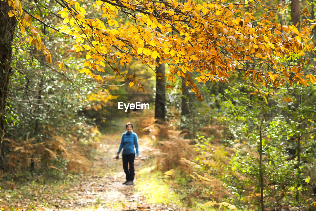 Full length of woman standing on footpath in forest during autumn