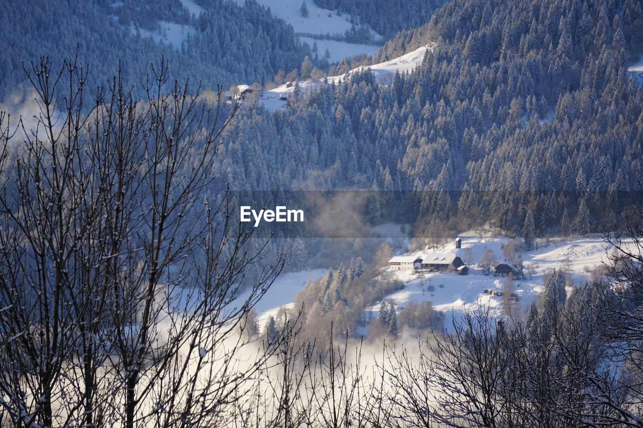 SCENIC VIEW OF SNOW COVERED LAND AND TREES