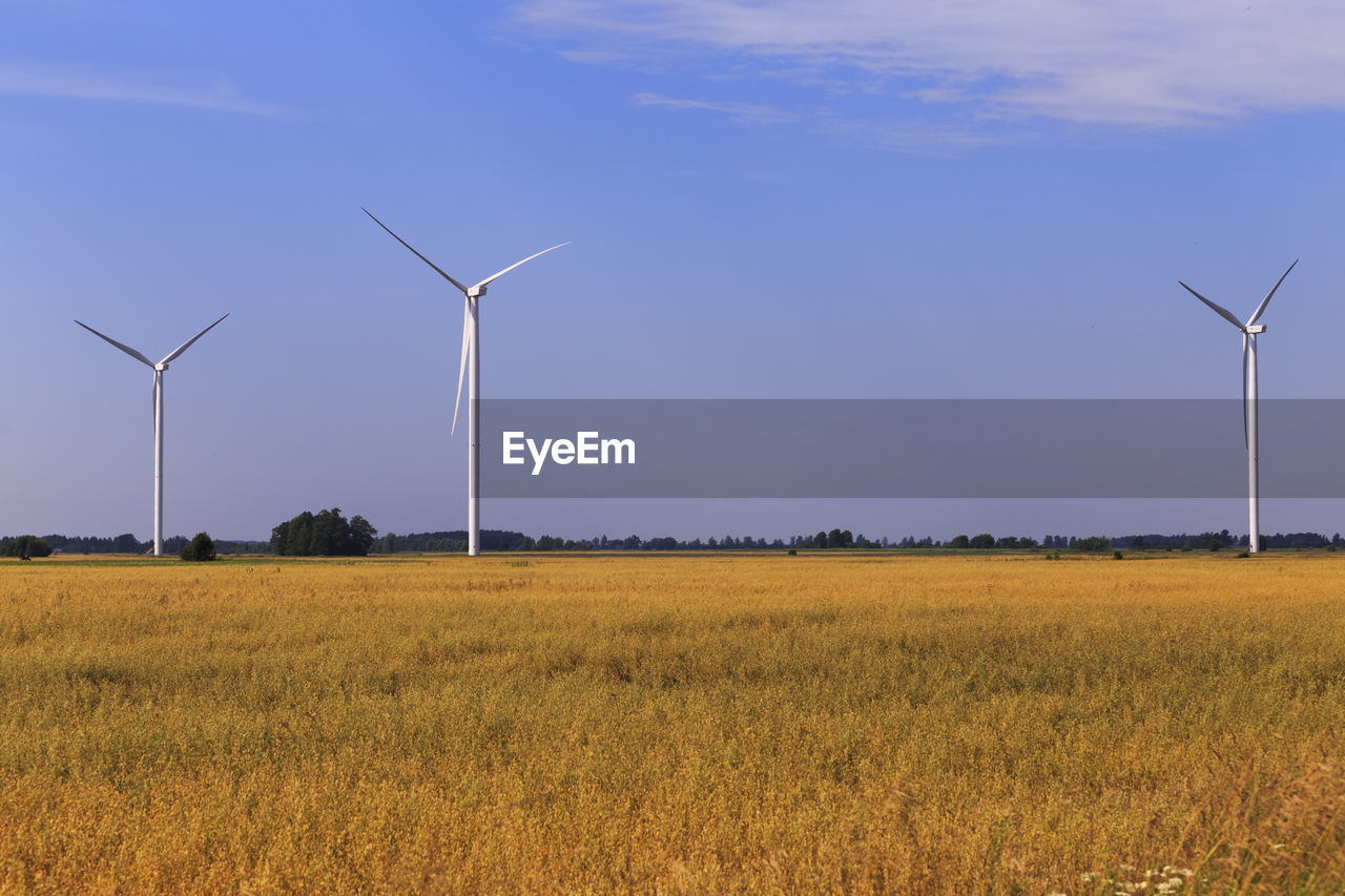 WIND TURBINES ON FIELD