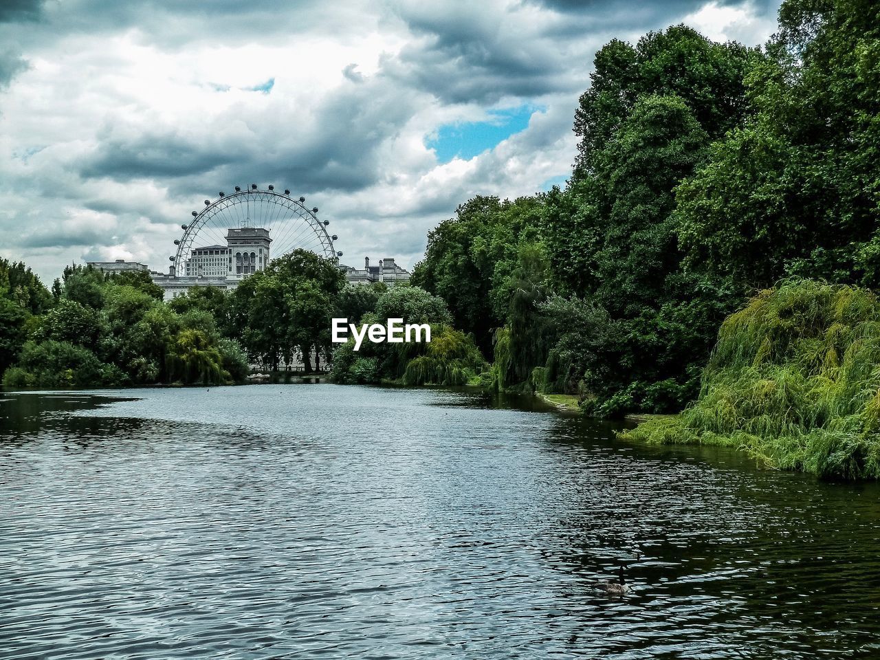 RIVER BY TREES AGAINST SKY