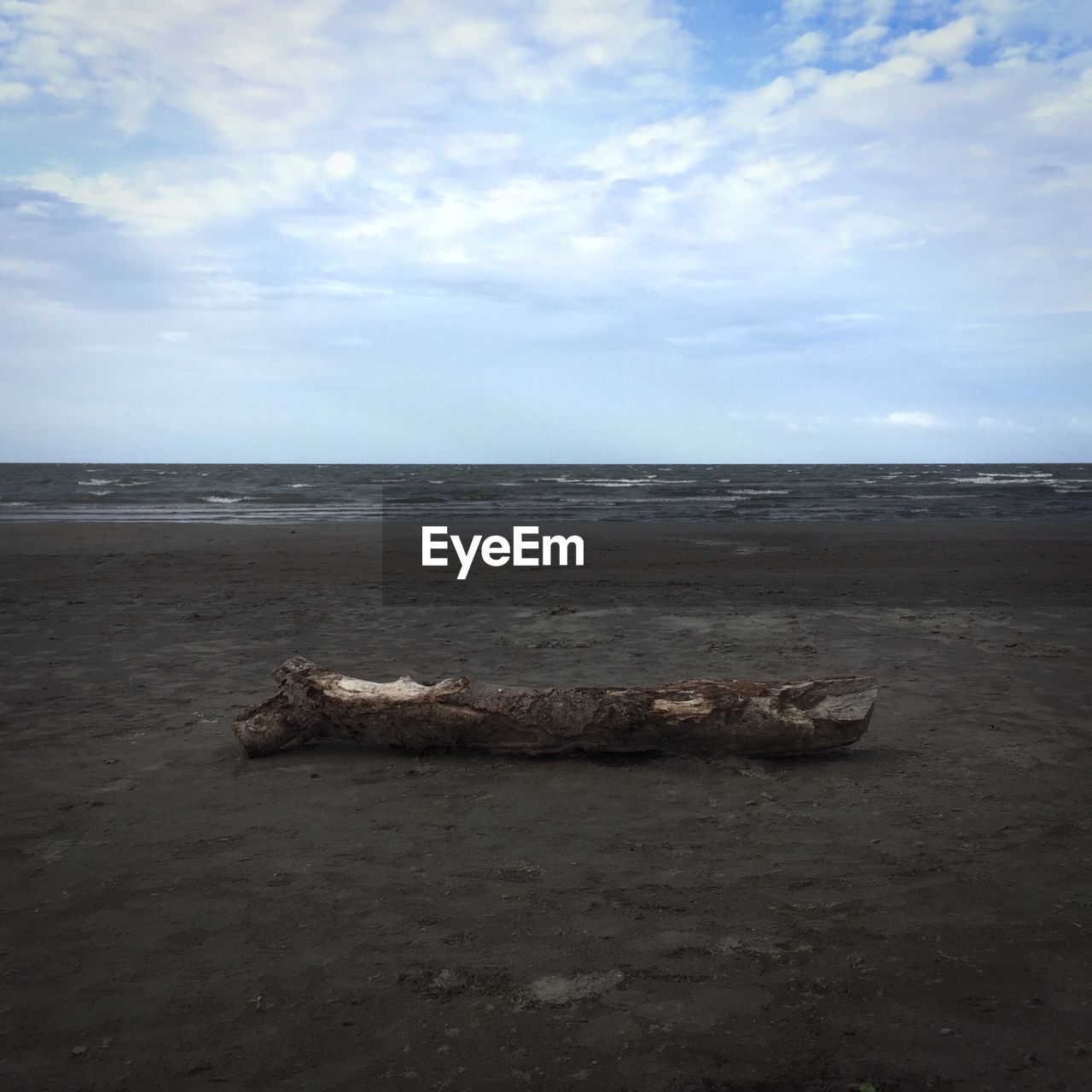 Driftwood on beach against cloudy sky