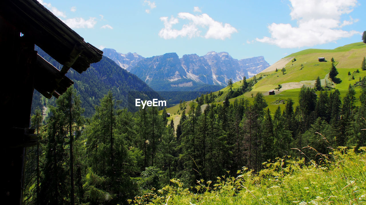 PANORAMIC SHOT OF TREES AND MOUNTAINS AGAINST SKY