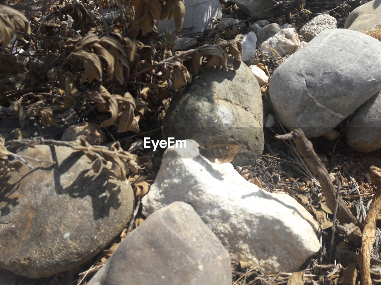 HIGH ANGLE VIEW OF STONES ON ROCKS